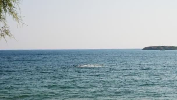 Un paisaje marino, una suave ola se rompe en un arrecife frente a la costa, dando la impresión de un fenómeno misterioso . — Vídeos de Stock