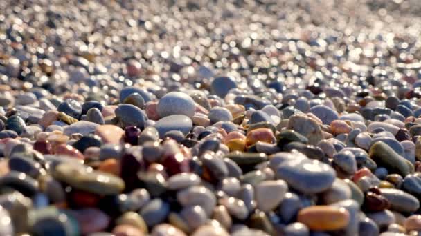 Közelkép. kavicsos strand. gyönyörű, sokszínű kerek tengeri kavicsok a Földközi-tenger partján. nyári napsütéses nap. Görögország — Stock videók