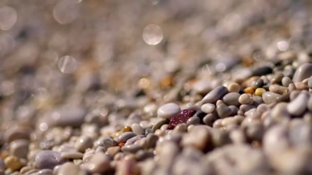 Close-up. pebble beach. beautiful, multi-colored round sea pebbles on the shore of the Mediterranean Sea. summer sunny day. Greece — ストック動画