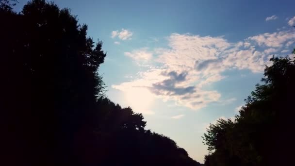 Blauwe lucht met wolken. bewegende zwarte contouren van bomen. zicht vanaf de voorruit van een rijdende auto. — Stockvideo