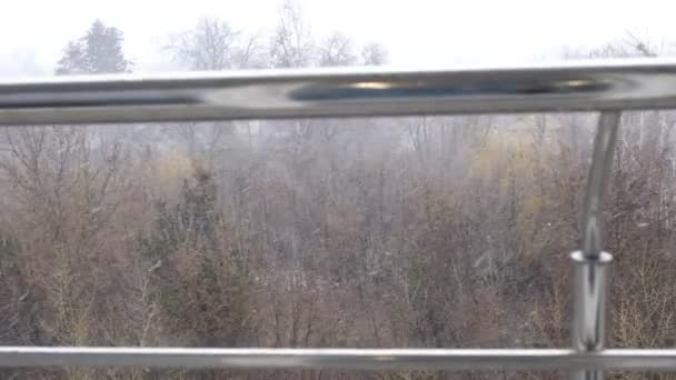 Vista desde el balcón del parque de la ciudad,, comienzo de invierno, fuerte viento, primera nieve, ventisca. nieve húmeda con lluvia — Vídeo de stock