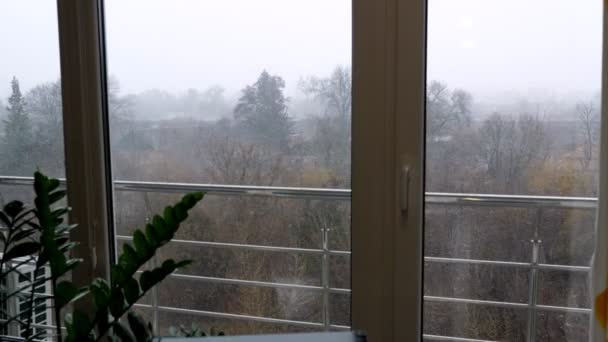Vista desde la ventana de la ciudad, parque,, comienzo de invierno, fuerte viento, primera nieve, ventisca. nieve húmeda con lluvia — Vídeo de stock