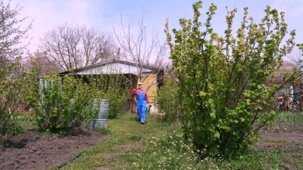 Farmář kráčí zahradou s lopatou a konvicí na vodu v rukou. jarní slunečný den. zemědělství a zemědělství. Zahradní vybavení. Eko farma. — Stock video