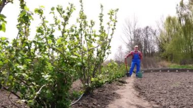 Ekose gömlekli ve bahçe tulumlu erkek çiftçi elinde kürekle sebze bahçesinde duruyor. Bahar güneşli bir gün. Evde bahçıvanlık, ekipman. Eko çiftliği.