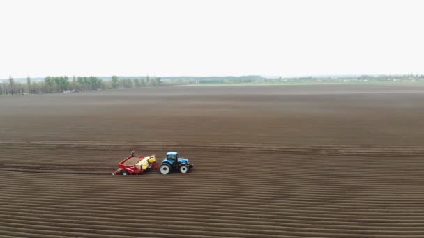 Aero. giornata di sole primaverile. In un campo agricolo, un trattore con attrezzature speciali sta piantando patate. Piantagione automatizzata di patate nelle aziende agricole. agricoltura moderna . — Video Stock