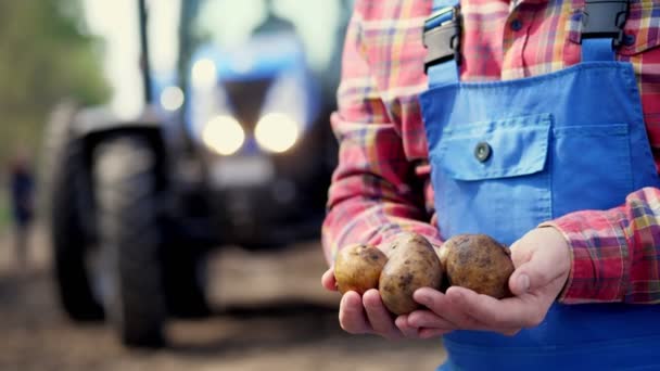 Van dichtbij houdt de boer aardappelknollen in zijn handen, tegen de achtergrond van tractoren. Aardappeloogst, moderne landbouw, landbouw. Ecoboerderij op het platteland. — Stockvideo