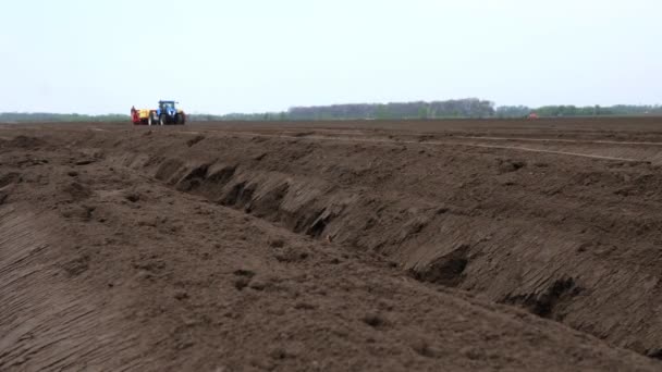 Närbild, brun jord på åkern. I närheten arbetar traktorn, plogar mark, planterar potatis. Odling av potatis inom jordbruket. modernt jordbruk. Ekologisk gård. vår. — Stockvideo