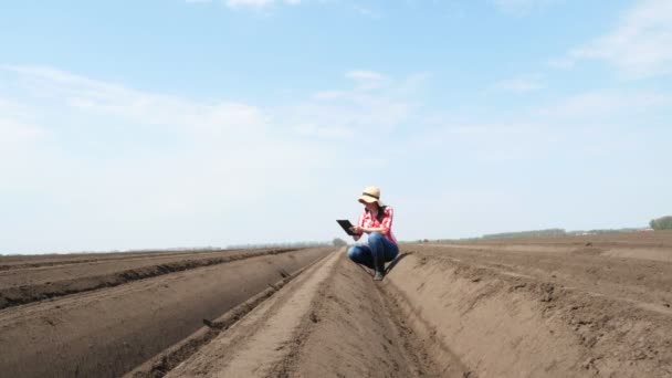 Женщина-фермер, агроном сидит между специальными рядами почвы на поле. Она тестирует, используя планшет, качество посадки картофеля культиватором. Современное сельскохозяйственное выращивание картофеля. весенний солнечный день . — стоковое видео