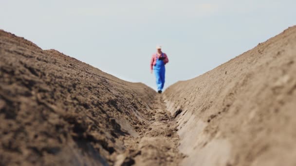 Farmář kráčí po poli, mezi zvláštními řadami půdy. Testuje pomocí tabletu kvalitu sadby brambor pomocí kultivátoru. Moderní Zemědělská kultura. jarní slunečný den. — Stock video