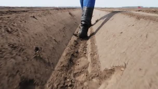 Close-up, female Farmer walks through deep furrow, between soil rows on field, with tablet, testing quality of potatoe planting by cultivator.modern agriculture. spring sunny day. — Stock Video