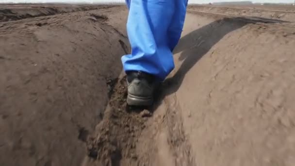 Primer plano de las piernas, granjero masculino camina a través de surco profundo, entre las filas de suelo en el campo. plantación de patata por cultivator.modern agricultura. Primavera día soleado . — Vídeos de Stock