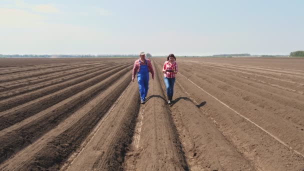 Farmer and agronomist walks through deep furrow, between soil rows on field, with tablet, testing quality of potatoe planting by cultivator.modern agriculture. spring sunny day. — Stock Video