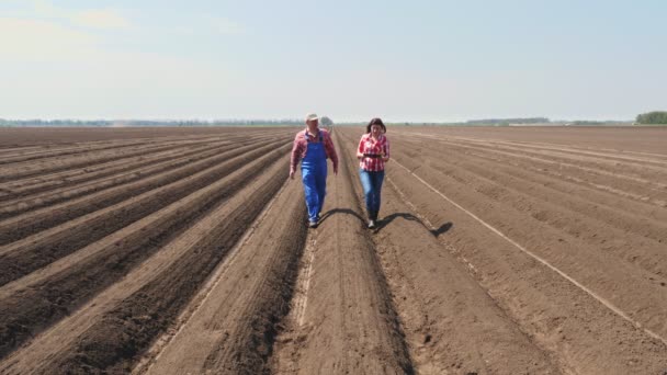 Agricultor e agrônomo caminha através do sulco profundo, entre as linhas de solo no campo, com tablet, testando a qualidade do plantio de batata pelo cultivador.agricultura moderna. primavera dia ensolarado . — Vídeo de Stock