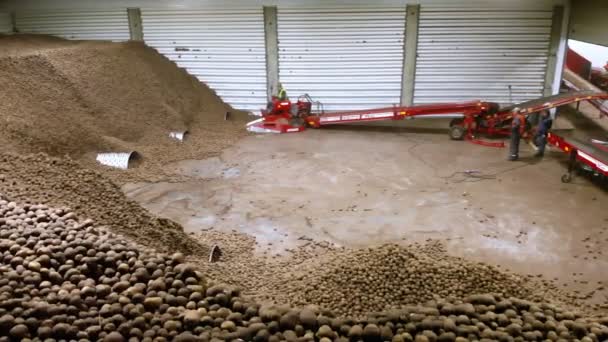 CHERKASY, UCRANIA, 28 DE ABRIL DE 2020: trabajador en máquina especial, equipo, sirve papas en cinta transportadora de clasificación, línea, en almacén. cosecha, clasificación, transformación de patatas . — Vídeos de Stock