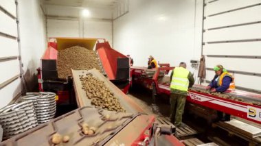 CHERKASY, UKRAINE, APRIL 28, 2020: işçiler ambardaki taşıma bandında patatesleri sınıflandırıyorlar. Patates hasat deposu. Yiyecek endüstrisi için patates hammaddesi