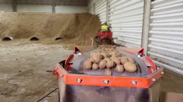 CHERKASY, UKRAINE, 28 de abril de 2020: trabalhador em máquinas especiais, equipamentos, serve batatas na classificação de correia transportadora no armazém. colheita, triagem, transformação da batata . — Vídeo de Stock