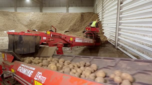 CHERKASY, UCRANIA, 28 DE ABRIL DE 2020: trabajador en máquina especial, equipo, sirve papas en la cinta transportadora de clasificación en el almacén. cosecha, clasificación, transformación de patatas . — Vídeo de stock