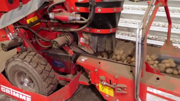 Gros plan, machine spéciale, équipement, sert pommes de terre sur bande transporteuse de tri dans l'entrepôt pour le transport ultérieur de la récolte de pommes de terre à l'usine de transformation. Stockage des pommes de terre. matières premières de pommes de terre — Video