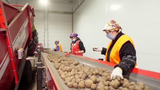 CHERKASY, UKRAINE, 28 de abril de 2020: os trabalhadores monitoram a qualidade das batatas na correia transportadora de triagem, linha, no armazém. agricultura, colheita de batata, indústria alimentar — Vídeo de Stock