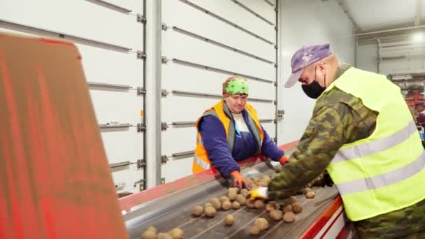 CHERKASY, UKRAINE, APRIL 28, 2020: робітники стежать за якістю картоплі на сортувальному конвеєрному поясі, лінії, на складі. Сільське господарство, урожай картоплі, харчова промисловість. — стокове відео