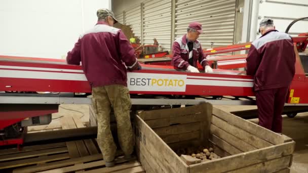CHERKASY, UCRANIA, 28 DE ABRIL DE 2020: los trabajadores monitorean la calidad de las patatas en la cinta transportadora de clasificación, línea, en el almacén. agricultura, cosecha de patatas, industria alimentaria — Vídeo de stock