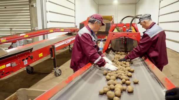 CHERKASY, UKRAINE, APRIL 28, 2020: werknemers controleren de kwaliteit van aardappelen op sorteerband, lijn, in magazijn. landbouw, aardappeloogst, levensmiddelenindustrie — Stockvideo