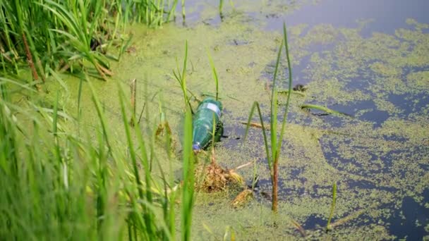 Zbliżenie, na brzegu jeziora, w trzcinach i glonach, stara plastikowa pusta butelka leży, zaśmiecając staw. śmieci w wodzie. pojęcie zanieczyszczenia środowiska, toksyczności tworzyw sztucznych. — Wideo stockowe