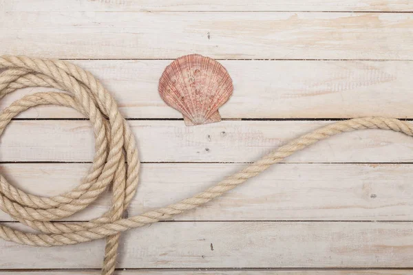 Kötél és tengerre shell fából készült háttér — Stock Fotó