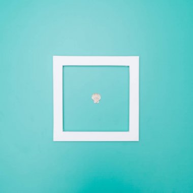 Deniz kabuğu ile bir renk arka plan üzerinde beyaz bir çerçeve