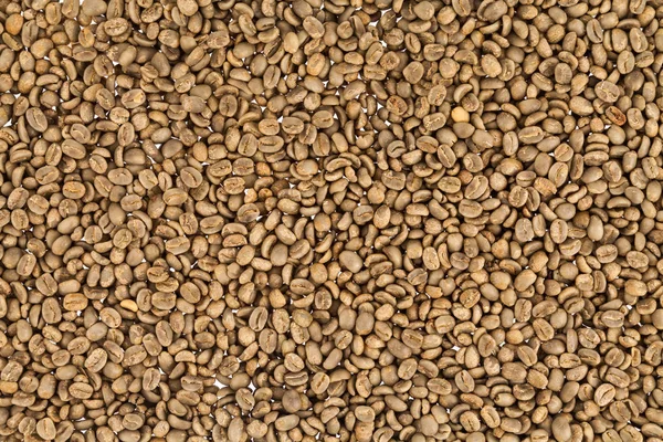 Granos de café sin tostar —  Fotos de Stock