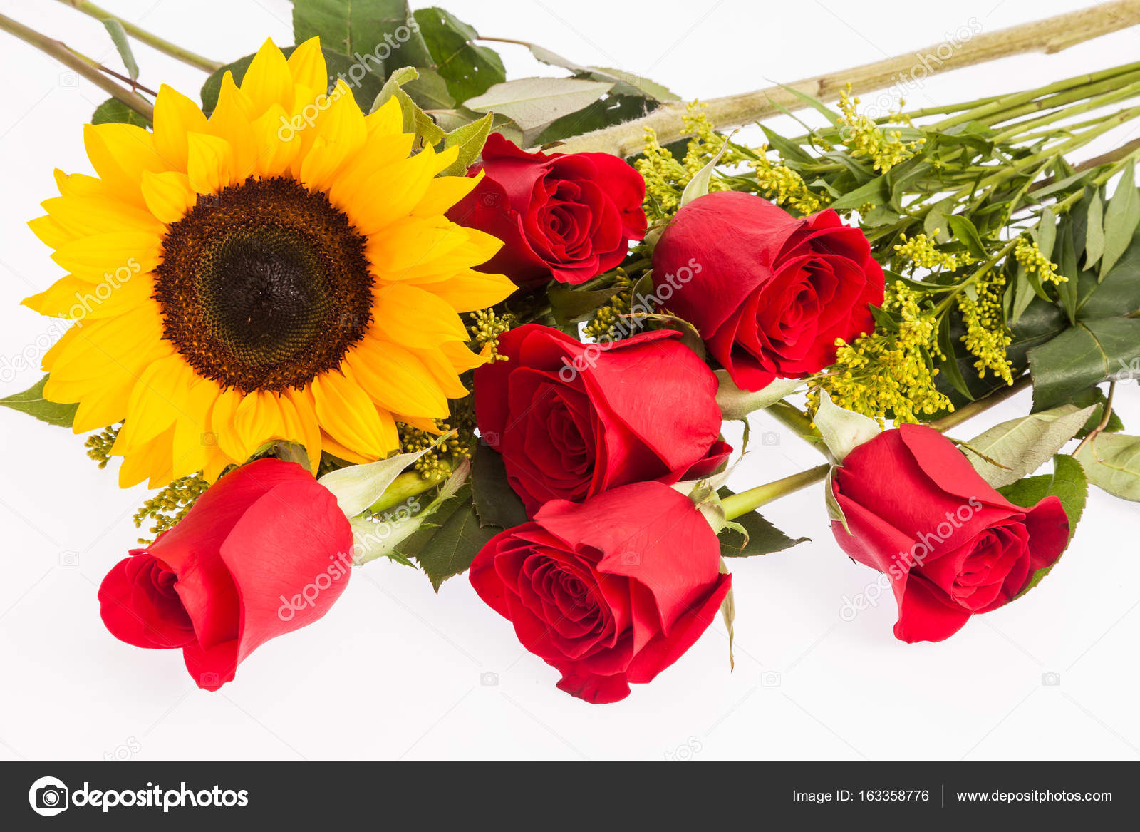 Red roses and a sunflower — Stock Photo ...
