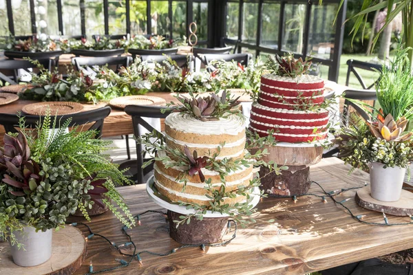 Two Cakes Wedding Celebration — Stock Photo, Image