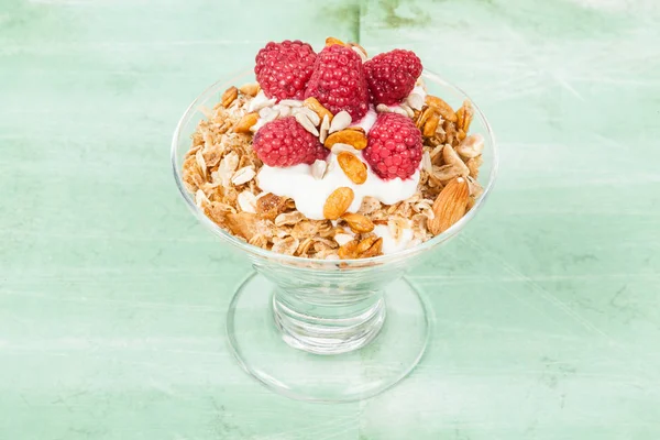 sağlıklı tahıl kahvaltı ile Yunan yoğurt ve ahududu