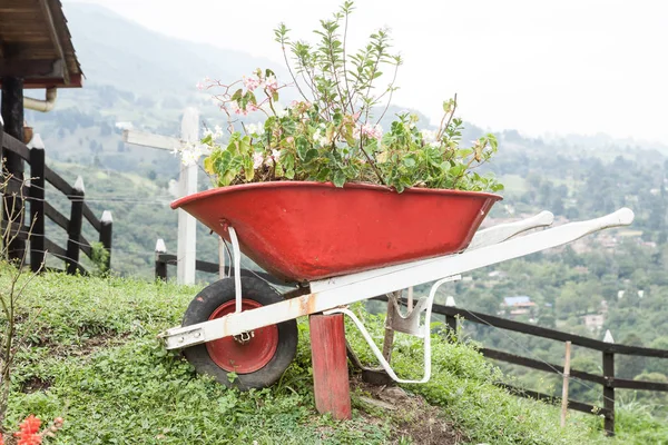 recycled cart made container to plant bushes