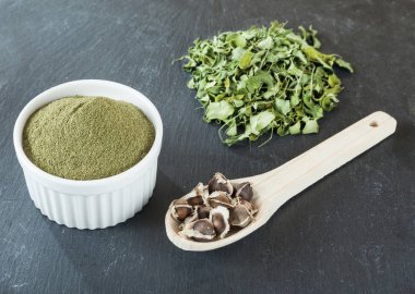Moringa oleifera tıbbi bitki