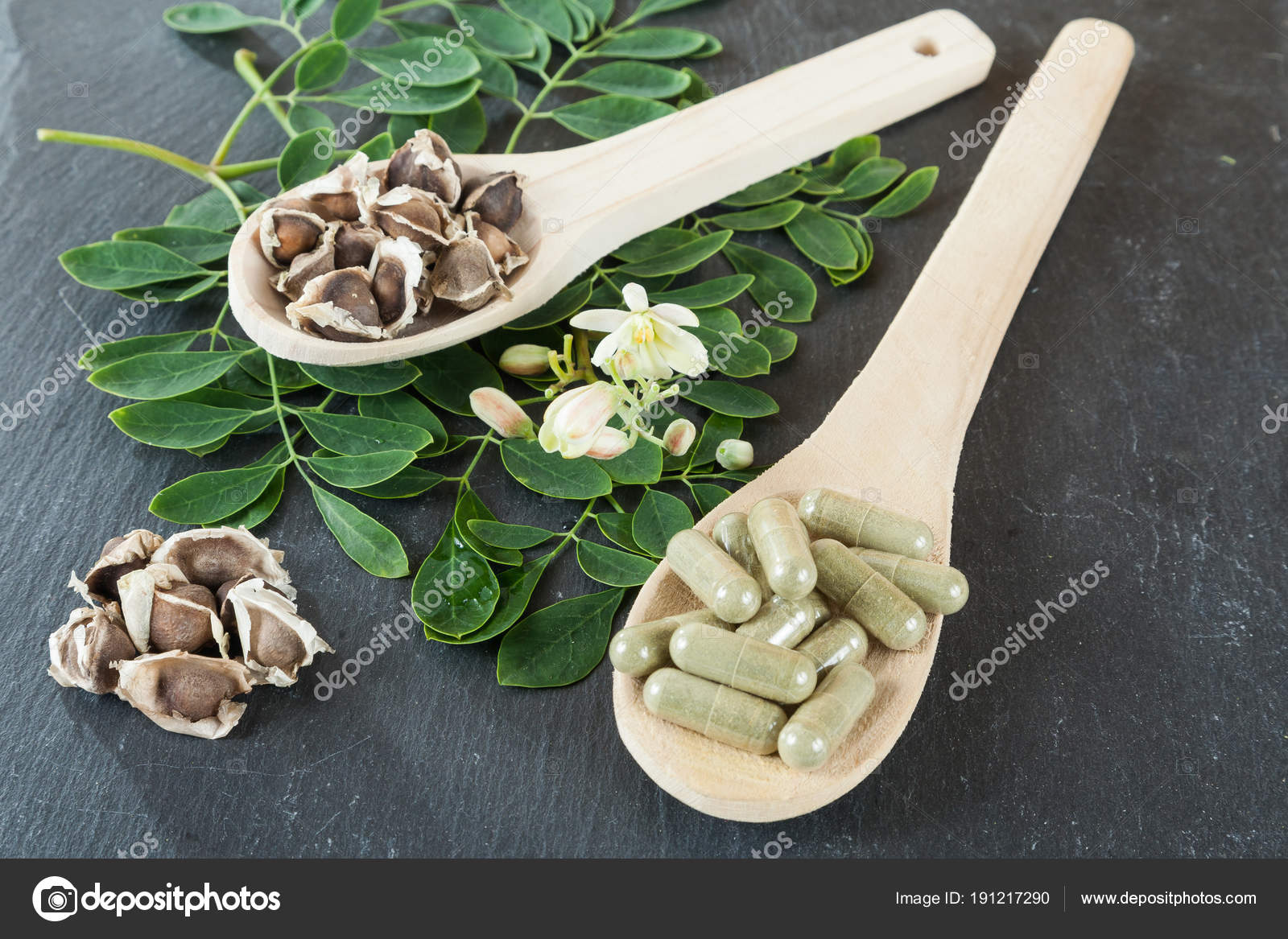 planta medicinal del arbol de la vida