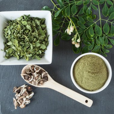 hayat ağacı-Moringa oleifera tıbbi bitki
