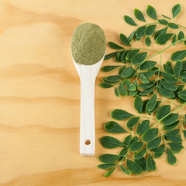 Polvo Moringa Moringa Oleifera — Foto de Stock