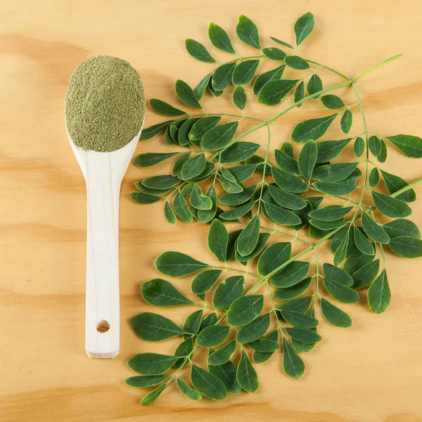 Polvo Moringa Moringa Oleifera — Foto de Stock