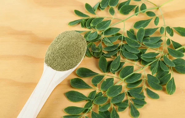 Polvo Moringa Moringa Oleifera — Foto de Stock