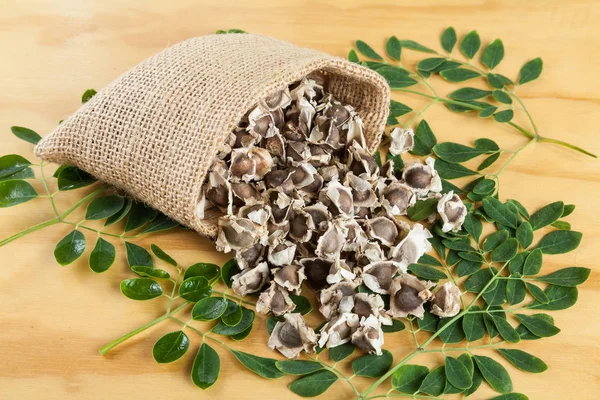 Organik moringa tohumlar - Moringa oleifera