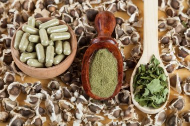 Moringa beslenme bitki tohumları, yaprak, kapsül ve toz - Moringa oleifera