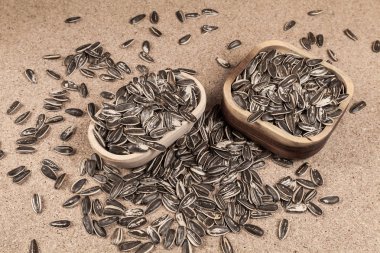 ayçekirdeği - Helianthus annuus