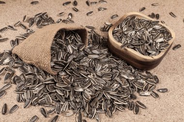 ayçekirdeği - Helianthus annuus