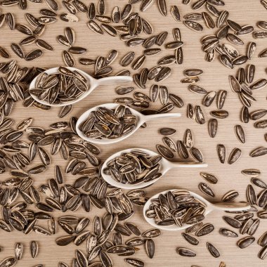 ayçekirdeği - Helianthus annuus