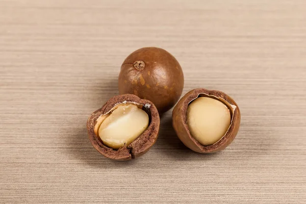 Macadamia Καρύδια Macadamia Ακεραιόφυλλος — Φωτογραφία Αρχείου