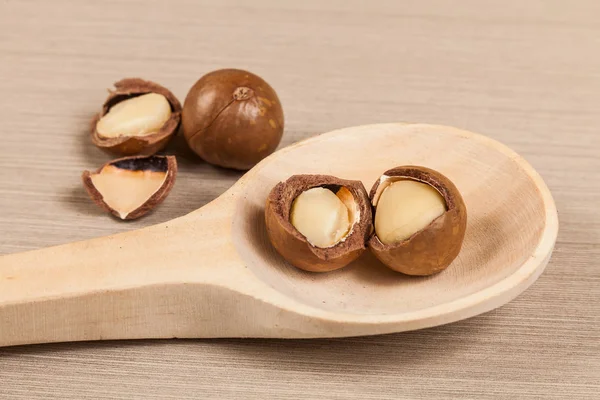 Macadamia Καρύδια Macadamia Ακεραιόφυλλος — Φωτογραφία Αρχείου