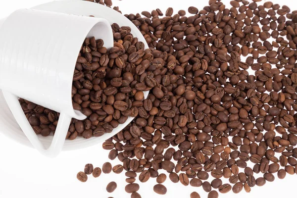 Biologische Koffiebonen Koffie Foto Witte Achtergrond — Stockfoto