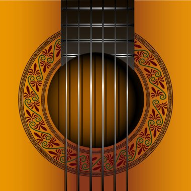 Klasik gitar kılıfı.