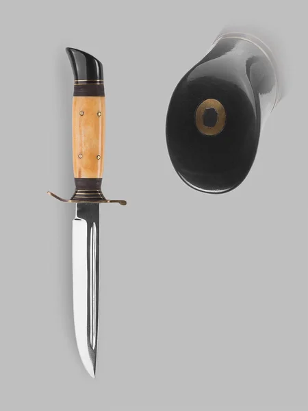 Kılıç kını ile askeri bıçak — Stok fotoğraf